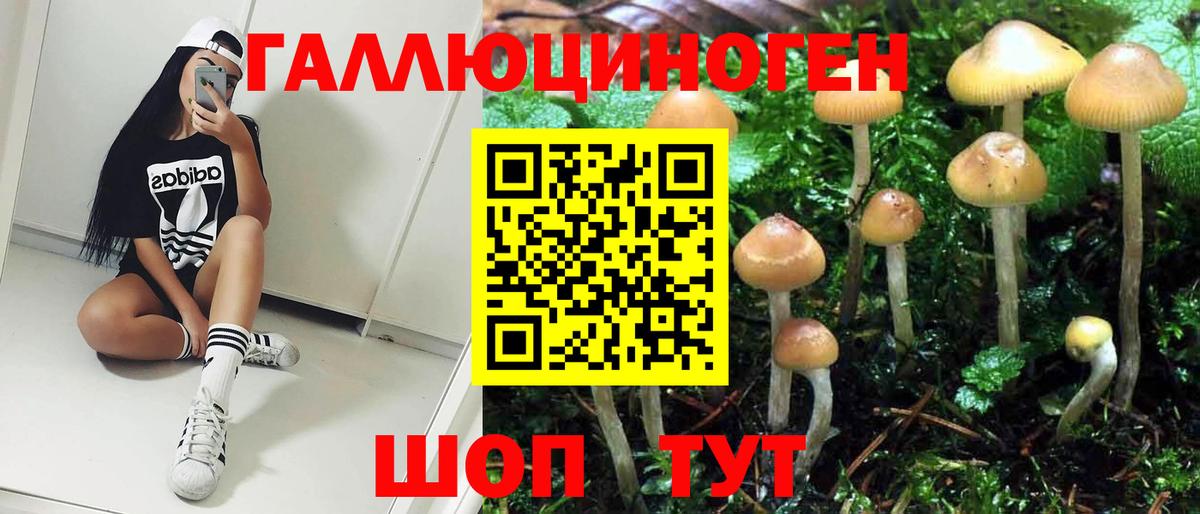 Черняховск  Псилоцибиновые грибы Magic Shrooms  Вход с VPN 