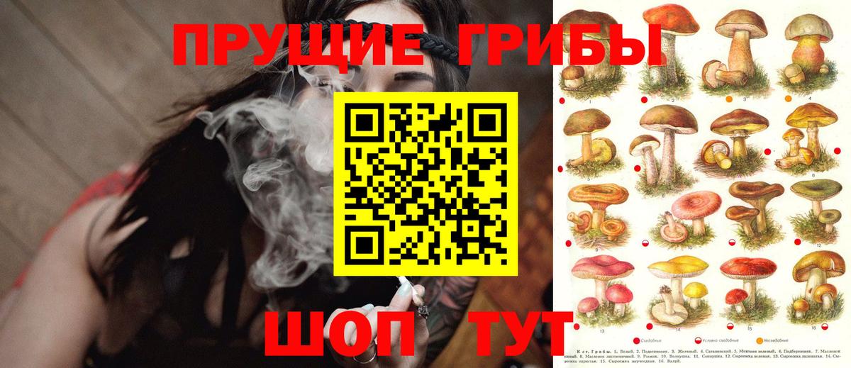 Галлюциногенные грибы ЛСД Черняховск